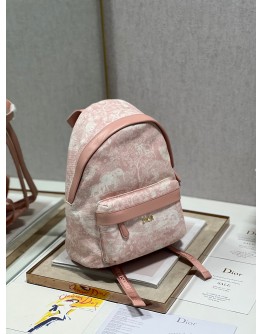 Dior Backpack pink