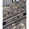Dior Book Tote Toile de Jouy Bag Blue