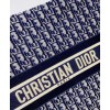 Christian Dior Book Tote Dark Blue