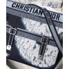 Christian Dior Diorcamp Bag Black