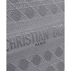 Christian Dior Cannage Embroidery Dior Book Tote
