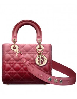 Dior Lady Dior My Abcdior Bag
