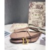 Dior Saddle calfskin bag
