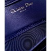 Christian Dior 30 Montaigne Pouch