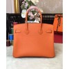 Hermes Birkin 35 Bag Togo Leather