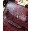 Hermes Birkin 30 Rouge Exotic Lizard Bag