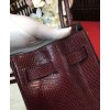 Hermes Birkin 30 Rouge Exotic Lizard Bag