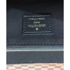 Louis Vuitton Vavin PM N40108