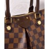 Louis Vuitton Siena MM Bag N41546 Coffee