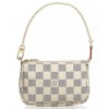 Louis Vuitton Pochette Aessoires Bag N58010 White