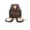 Louis Vuitton Bosphore M51135 Brown