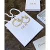 Dior C Earrings Golden