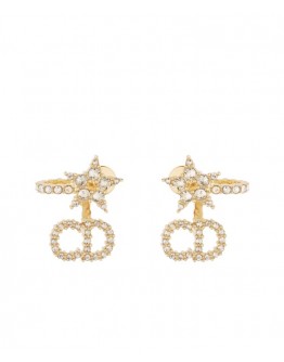 Dior Clair D Lune Earrings Golden