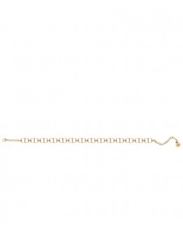 Dior 30 Montaigne Chain Link Choker Necklace Golden